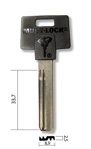 MUL-T-LOCK 006