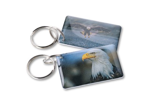 Орёл EPOXY (чип H2)