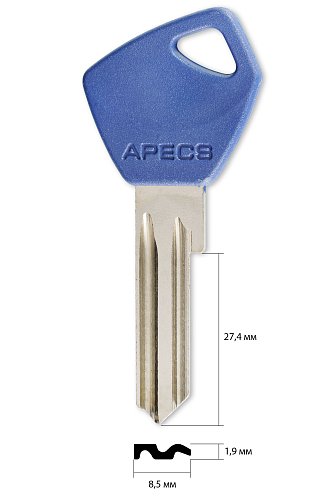 AP-2DP | APE1 | APK1P