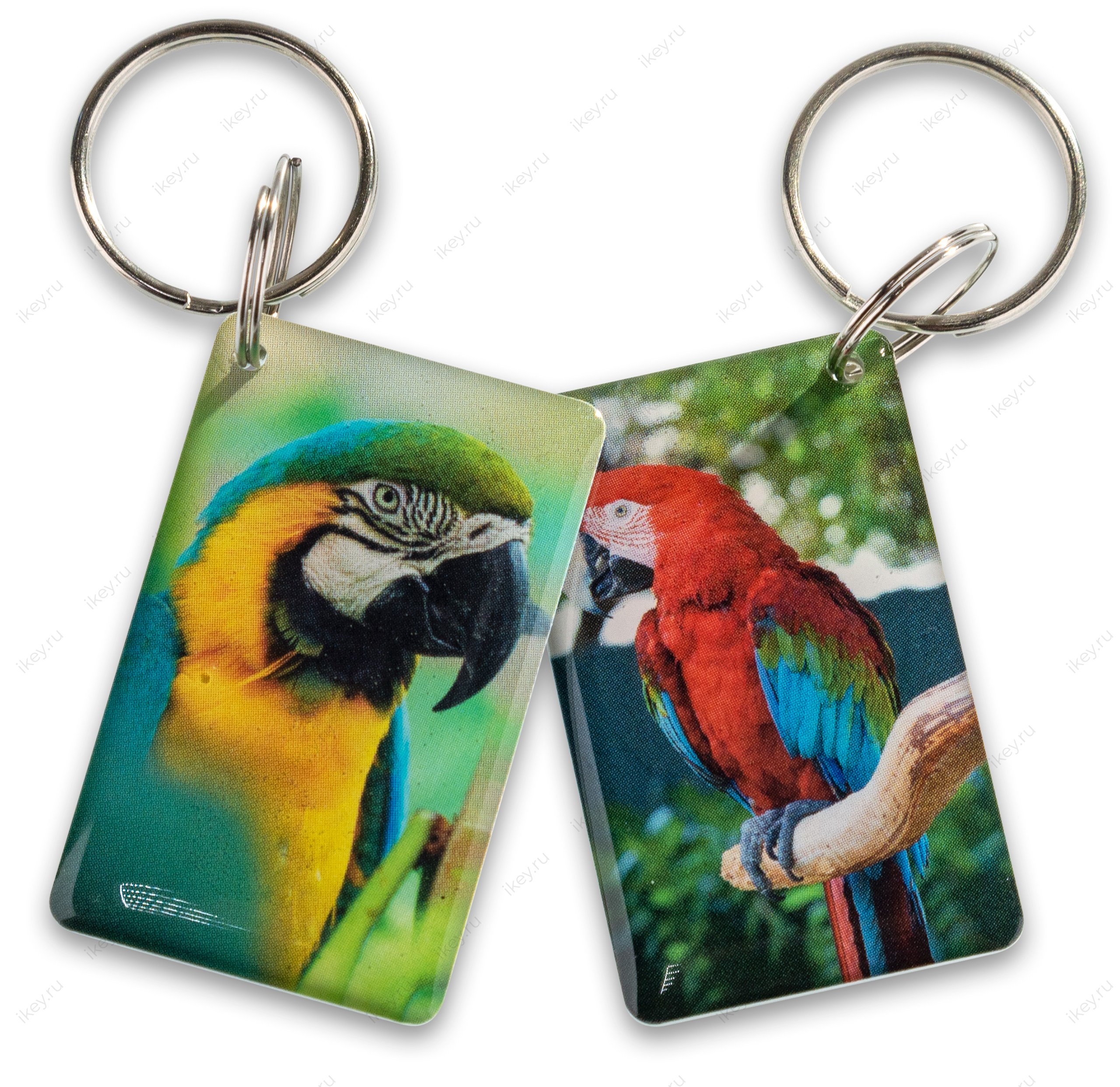 Попугай EPOXY (чип H2) - 1