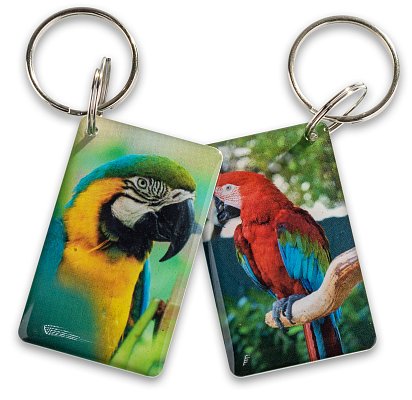 Попугай EPOXY (чип H2)