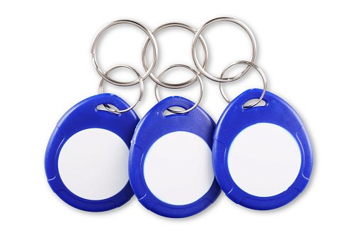 Заготовка, брелок двухцветный CL (чип H2)