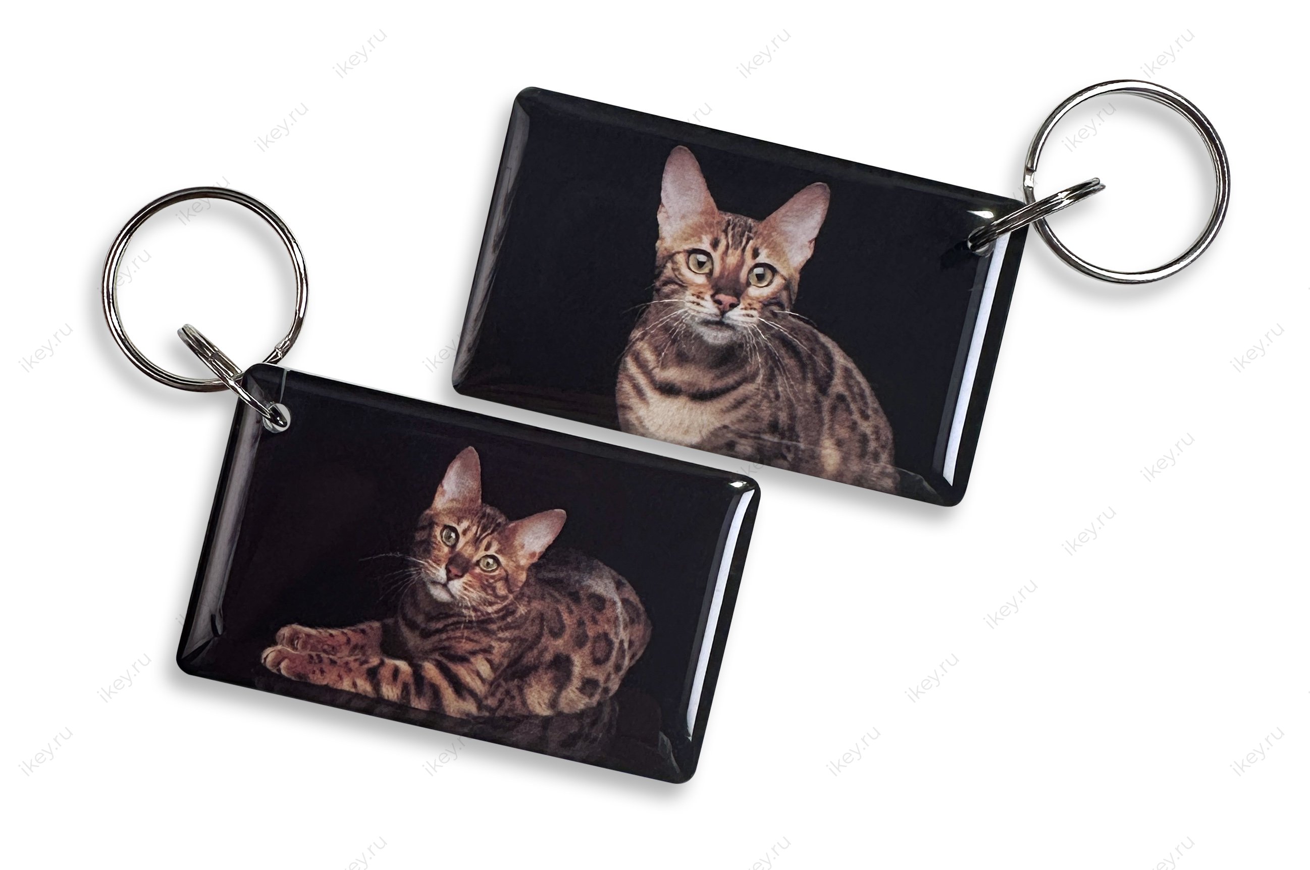 Бенгальский кот EPOXY Ti-2048 (Tag-IT HF-1) - 1