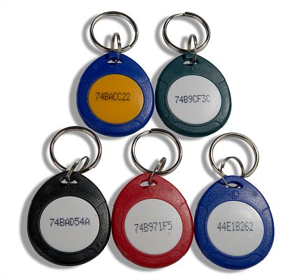 Брелок RFID, Mifare S50