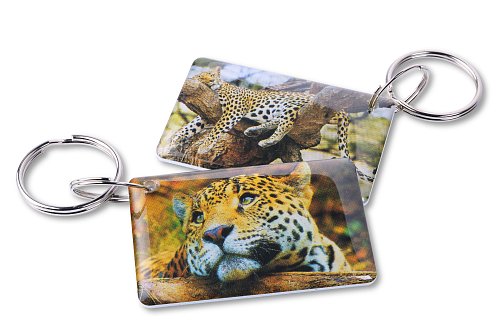 Леопард EPOXY (чип H2)