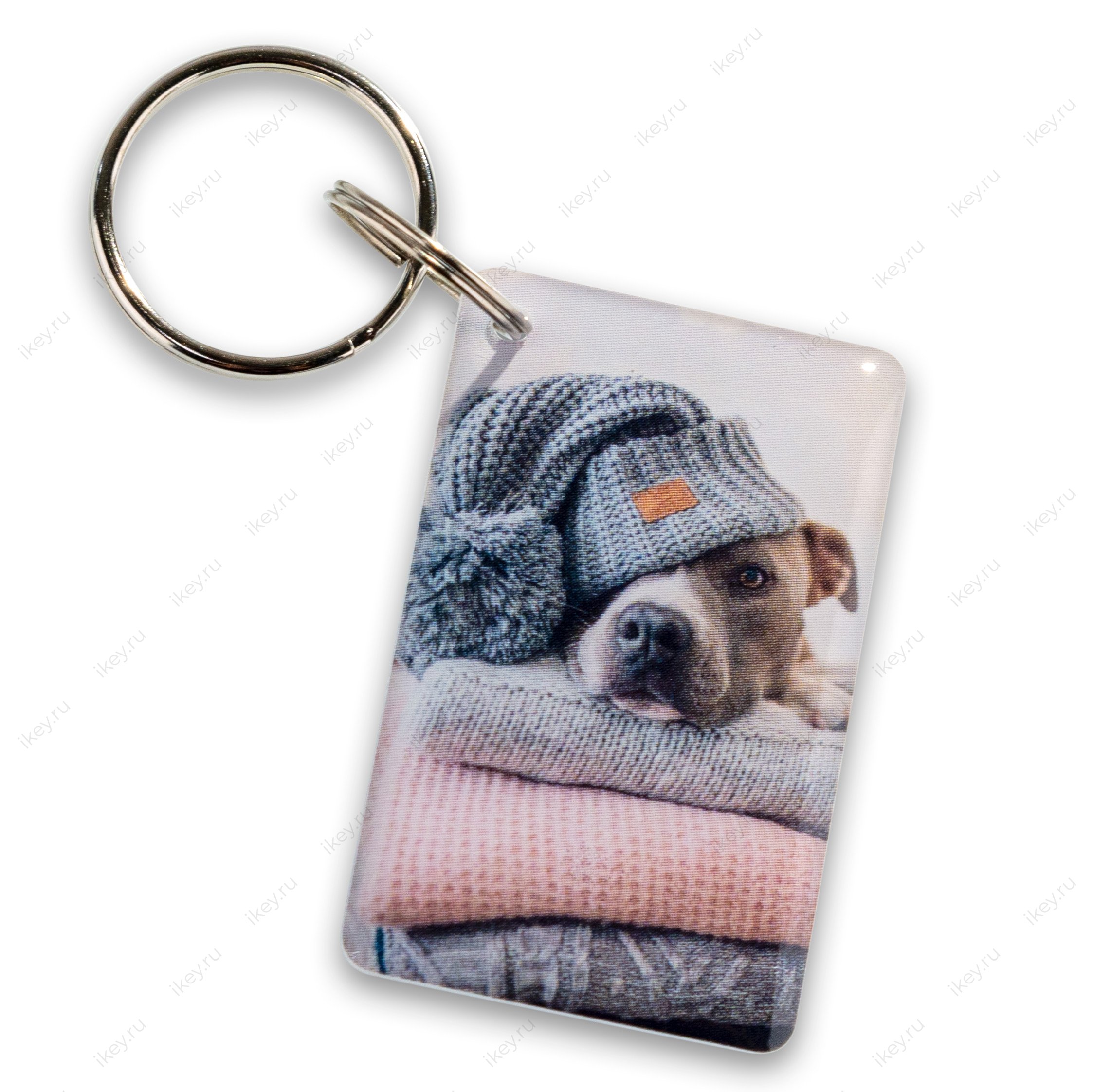 Собака в шапке EPOXY (чип H2) - 1