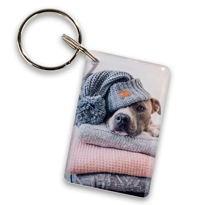 Собака в шапке EPOXY (чип H2)