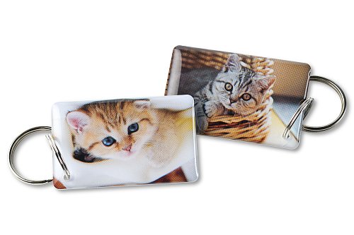 Котята EPOXY (чип H2)