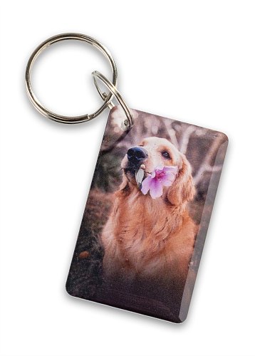 Ретривер EPOXY (чип H2)