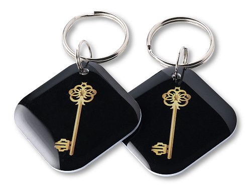 Золотой ключ чёрный EPOXY (чип H2)