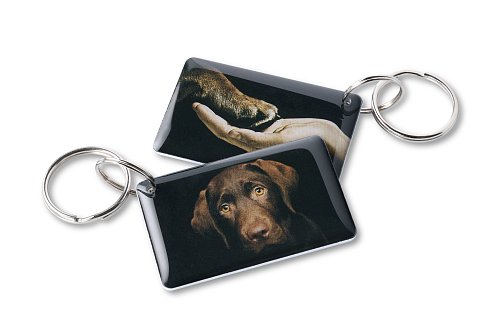 Пёс EPOXY (чип H2)