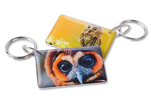 Сова EPOXY (чип H2)